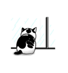 ぽっちゃり猫のチャコちゃんスタンプ第2弾（個別スタンプ：38）