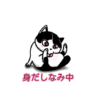 ぽっちゃり猫のチャコちゃんスタンプ第2弾（個別スタンプ：40）