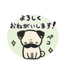 パグのチョコさん♪（個別スタンプ：1）