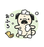 パグのチョコさん♪（個別スタンプ：12）