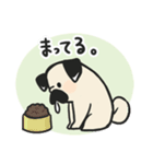 パグのチョコさん♪（個別スタンプ：13）