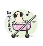 パグのチョコさん♪（個別スタンプ：15）