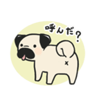 パグのチョコさん♪（個別スタンプ：16）