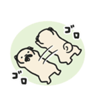 パグのチョコさん♪（個別スタンプ：22）