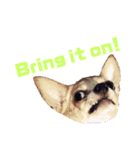 Lime スタンプ (American ver)（個別スタンプ：16）