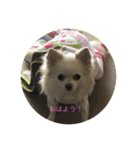 さくちゃんけいちゃん（個別スタンプ：1）