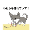 毎日役立つ☆キュートなパピヨン犬の日常①（個別スタンプ：36）