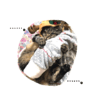 ジャッキーとチッチ（個別スタンプ：4）