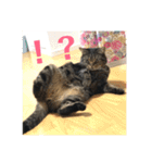 ジャッキーとチッチ（個別スタンプ：9）