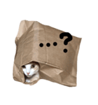 猫好きのスタンプ（個別スタンプ：3）