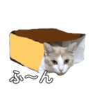 猫好きのスタンプ（個別スタンプ：7）