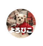 そらでござる2（個別スタンプ：1）