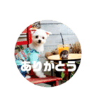 そらでござる2（個別スタンプ：6）