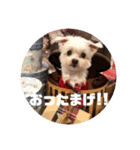 そらでござる2（個別スタンプ：13）