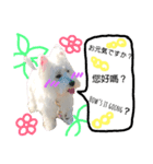 れあとらむの日常（個別スタンプ：2）