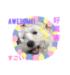れあとらむの日常（個別スタンプ：4）