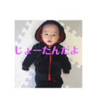坊っちゃんスタンプ3（個別スタンプ：8）