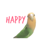 Lovebird(ponzu)（個別スタンプ：2）