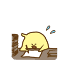 ぴよたち 01（個別スタンプ：12）