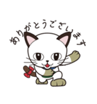 セベ にゃんスタンプ（個別スタンプ：3）