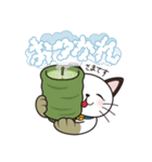 セベ にゃんスタンプ（個別スタンプ：8）