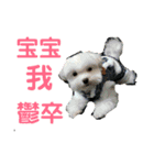 QQQQyayaya1027（個別スタンプ：13）