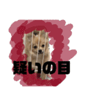 ツナさま（個別スタンプ：6）