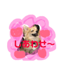 ツナさま（個別スタンプ：7）