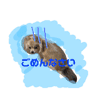ツナさま（個別スタンプ：8）