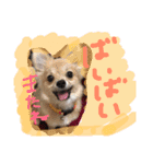 ツナさま（個別スタンプ：9）