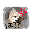 ツナさま（個別スタンプ：14）