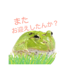 ツノガエル フォトスタンプ（個別スタンプ：4）