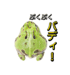 ツノガエル フォトスタンプ（個別スタンプ：13）