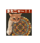 大好きニャンズと遊ぼう！（個別スタンプ：22）