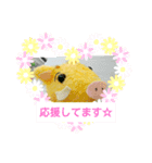 がるるちゃん（個別スタンプ：8）
