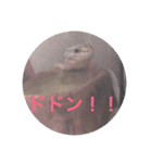 レオパさんの日常（個別スタンプ：17）