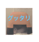 レオパさんの日常（個別スタンプ：21）
