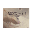 レオパさんの日常（個別スタンプ：23）