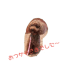 プードル Lulu 日常によく使う言葉（個別スタンプ：10）