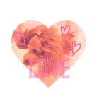 ♡Fran♡フラン♡ふらん♡（個別スタンプ：1）