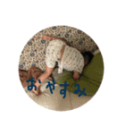 4歳になりました（個別スタンプ：9）