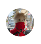 しんばくん（個別スタンプ：4）