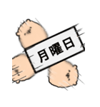 わたあめいぬ（個別スタンプ：33）