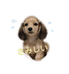 ダックス ララの1日（個別スタンプ：8）