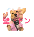 ダックス ララの1日（個別スタンプ：31）