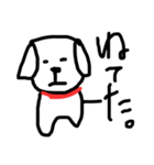 この犬、マルチーズ（個別スタンプ：5）
