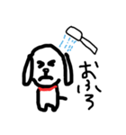 この犬、マルチーズ（個別スタンプ：9）