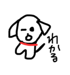 この犬、マルチーズ（個別スタンプ：13）