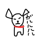 この犬、マルチーズ（個別スタンプ：16）