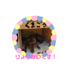 熊五郎（個別スタンプ：4）
